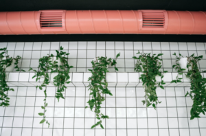 Home Ventilation