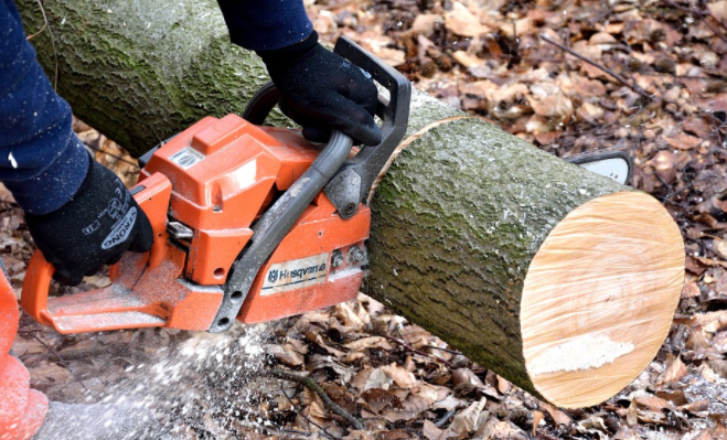 cutting atre trunk