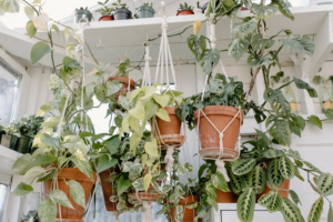indoor