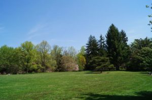 field